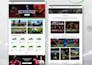 design and develop professional wordpress website for your business